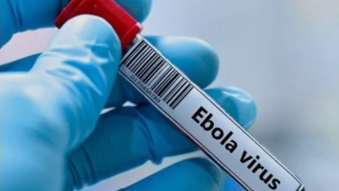 Ebola virus Ebola : l'Afrique du Sud renforce ses contrôles pour les voyageurs en provenance de la RDC et de l'Ouganda