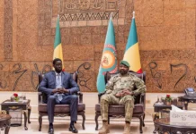 Mali – Sénégal : l’UEMOA et l’OMVS au cœur des discussions de Diomaye Faye et Assimi Goïta Mali - Sénégal : l'UEMOA et l'OMVS au cœur des discussions de Diomaye Faye et Assimi Goïta