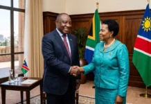 Afrique du Sud-Namibie : les chiffres d’un partenariat en pleine expansion Afrique du Sud-Namibie : les chiffres d'un partenariat en pleine expansion