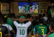 Coupe du monde 2026 : au Bénin, l’élimination du Sénégal laisse un goût amer Coupe du monde 2026 : au Bénin, l'élimination du Sénégal laisse un goût amer