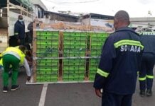 La SOGADA : 100% gabonaise, 100% engagée pour l’avenir du Gabon! Réception de 55000 poussins de poules pondeuses par le SOGADA