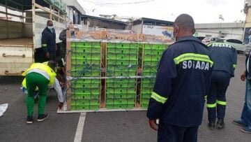 La SOGADA : 100% gabonaise, 100% engagée pour l’avenir du Gabon! Réception de 55000 poussins de poules pondeuses par le SOGADA