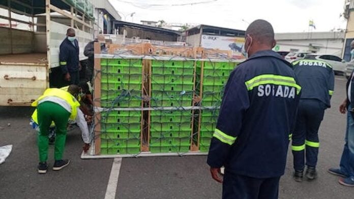 Réception de 55000 poussins de poules pondeuses par le SOGADA