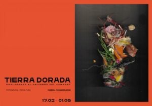 Tierra Dorada, explorando el universo del compost de Yasmina Benabdelkrim