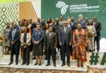 Agriculture africaine : l’augmentation des récoltes peine à sortir les agriculteurs de la pauvreté Africa’s agrifood