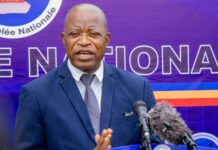 RDC : quand les politiciens font feu de tout bois pour justifier la révision de la Constitution André Mbata