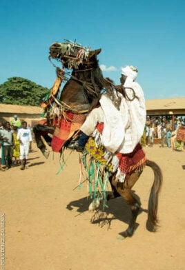 Un cavalier à la Gaani @gouv.bj