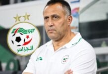 Algérie : Brahim Hemdani nommé sélectionneur, le pari de la FAF Brahim Hemdani, sélectionneur algérien