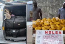 Nigeria : une importante quantité de drogue canadienne interceptée au port de Tin Can Island Nigeria : une importante quantité de drogue canadienne interceptée au port de Tin Can Island