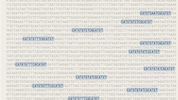 dna-sequence-1200x675 DNA Séquence Claude