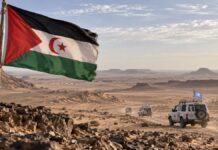 Sahara occidental : à l’ONU, Alger et le Polisario remettent l’autodétermination au cœur du dossier MINURSO Le Sahara occidental revient au cœur des discussions diplomatiques à l’approche du renouvellement du mandat de la MINURSO