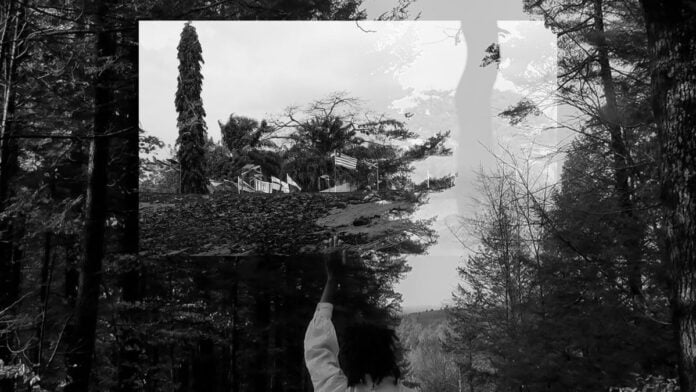 Miatta Kawinzi, « Faire confiance à la terre pour nous libérer (recommencer) », 2024. Avec l’aimable autorisation de l’artiste.