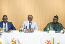 Bénin : première réunion du Sénat, les premiers textes sur la table Bénin : première réunion du Sénat, les premiers textes sur la table