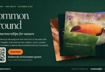 COP17 : religions et biodiversité, les alliances africaines du rapport Common Ground common-ground-linkedin-poster