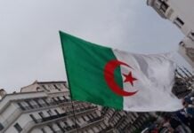 Blocus lycéens en France : pourquoi une association veut écarter le drapeau algérien Drapeau algérien dans une manifestation