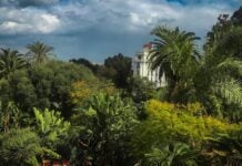 « El Djazaïr ex St George », le palais hôtelier qui règne sur Alger Jardin de l'hôtel El Djazaïr, ex Saint Georges