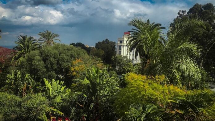 Jardin de l'hôtel El Djazaïr, ex Saint Georges