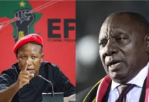 Afrique du Sud : « Nous voulons la destitution de Ramaphosa et son emprisonnement », Julius Malema Afrique du Sud : "Nous voulons la destitution de Ramaphosa et son emprisonnement", Julius Malema