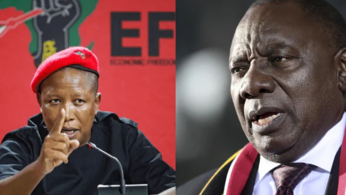 Afrique du Sud : "Nous voulons la destitution de Ramaphosa et son emprisonnement", Julius Malema