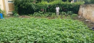 M Tine dans le jardin