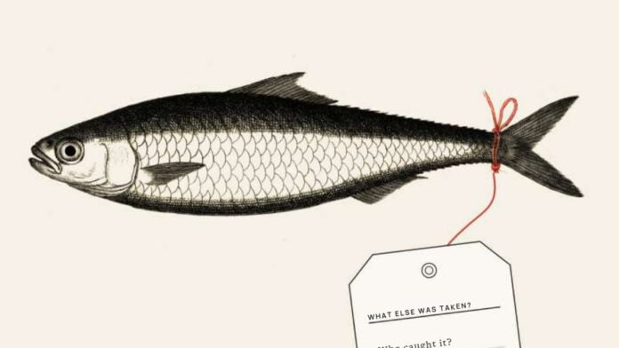 sardinelle farine de poisson Afrique de l’Ouest