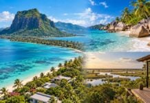 Expatriation : les 5 pays africains les mieux classés en 2026 Top 5 des pays ou s'expatrier